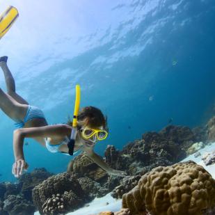 Snorkeling