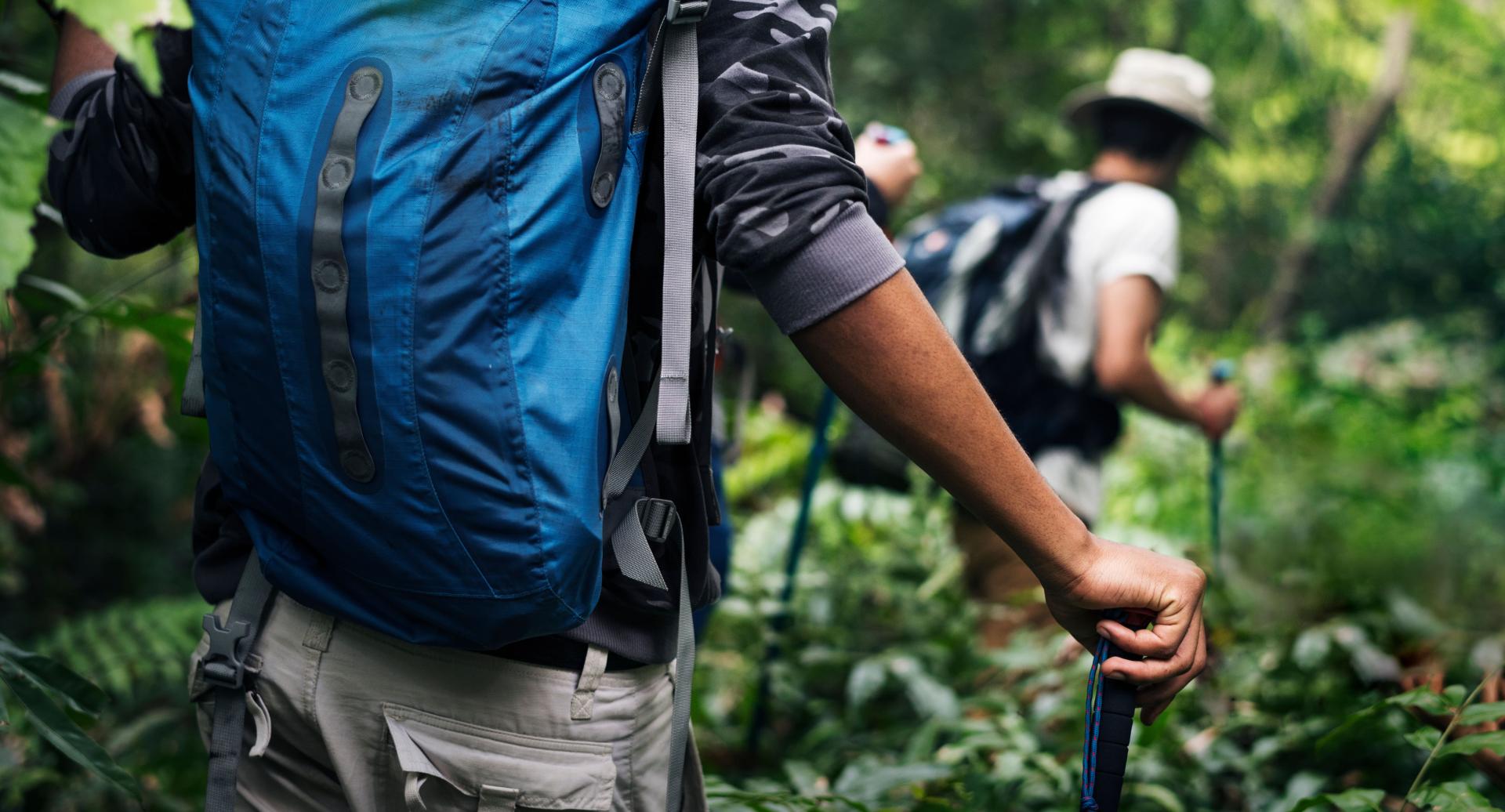 Descubra rotas de caminhada