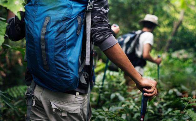 Descubra rotas de caminhada